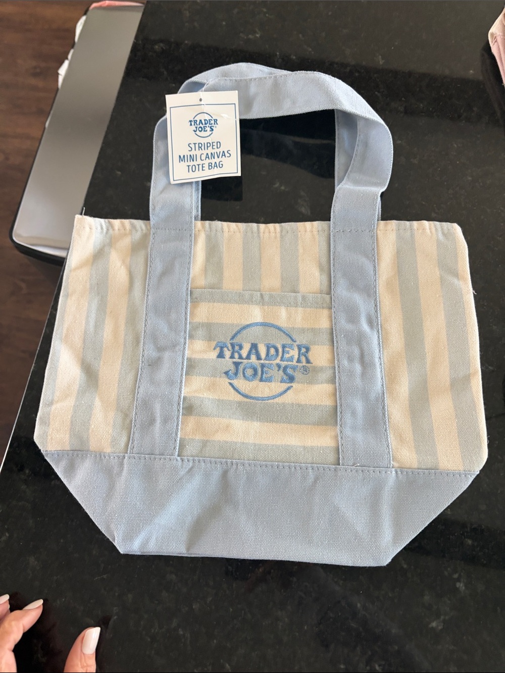 Trader Joe's Blue and Cream Striped Mini Canvas Tote